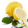 douceur citron